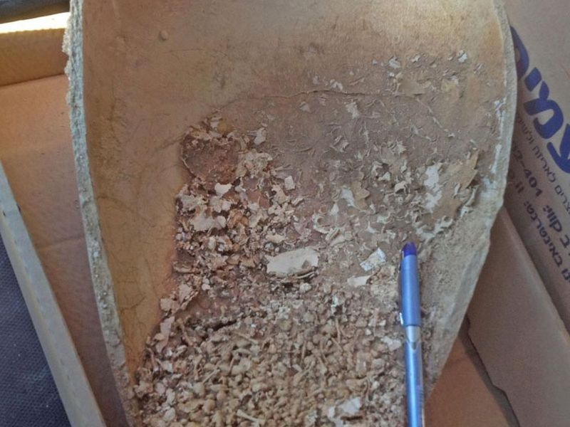 Frasco encontrado. Israel Antiquities Authority
